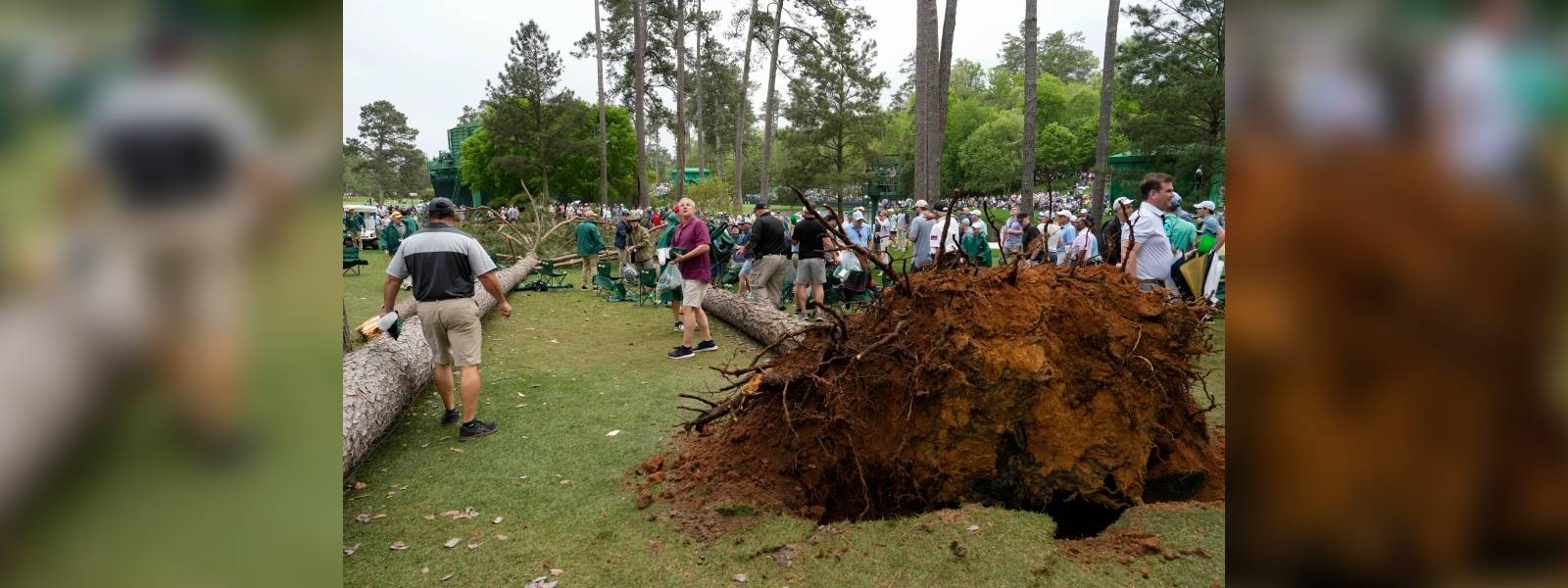Trees fall at US Masters Golf Tournament